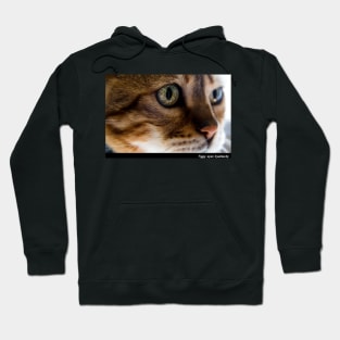 Tiggy Eyes Hoodie